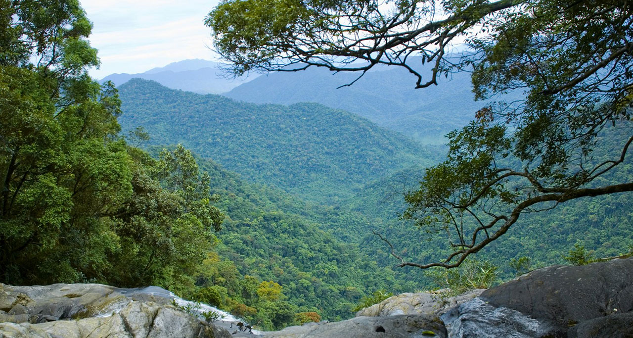 a green view in Bach Ma