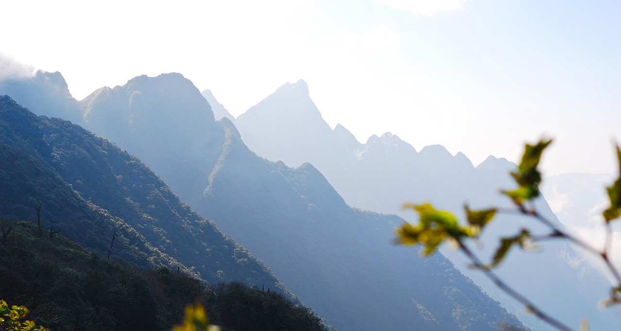 the beauty of Hoang Lien Mountain