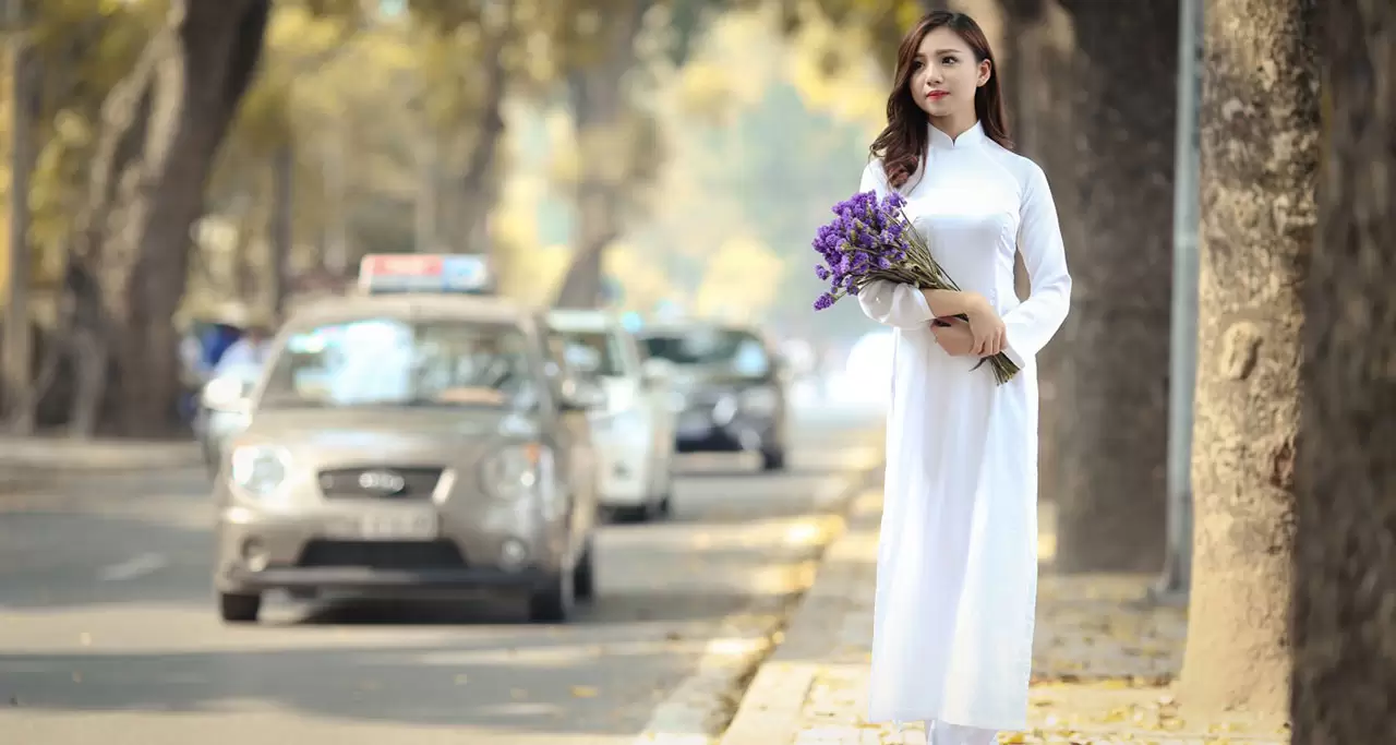 Buy Wedding Ao Dai, High Quality Ao Dai Vietnam, Handmade Vietnamese  Traditional Costume Include Pants Online in India 