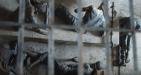 Con-Dao-Historical-Prison-Tour-4