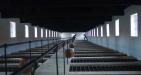 Con-Dao-Historical-Prison-Tour-7