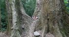 Cuc-Phuong-National-Park-12