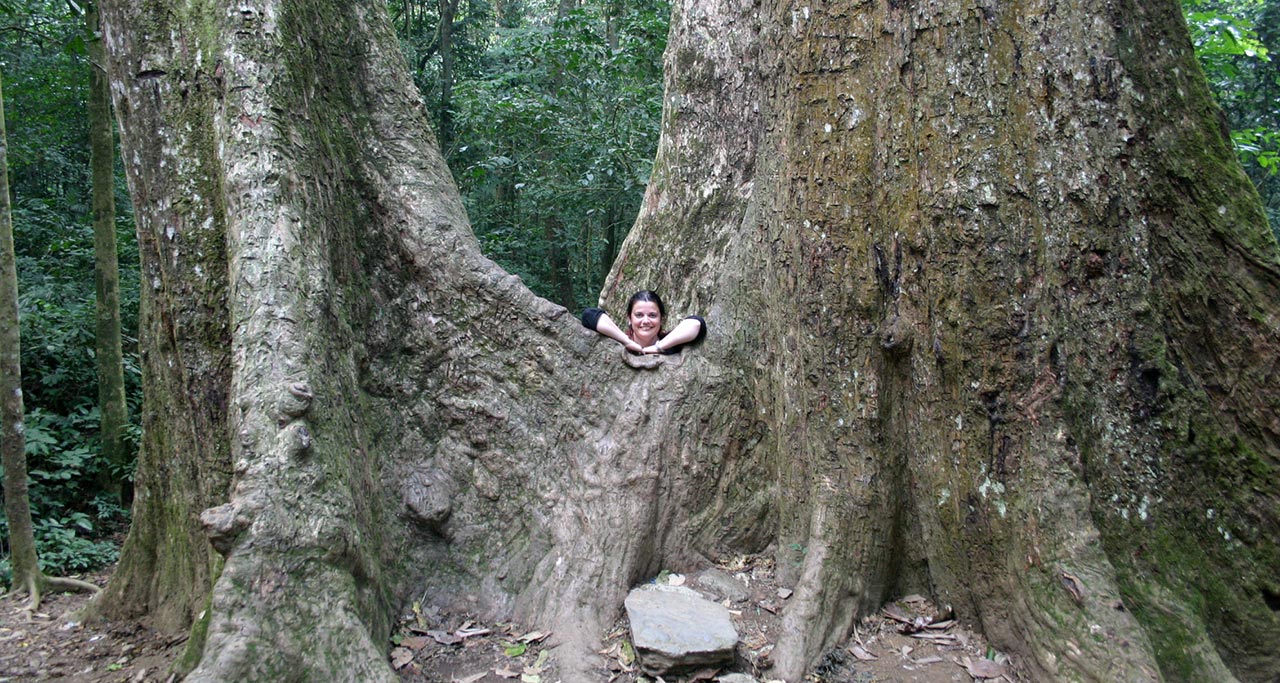 Cuc-Phuong-National-Park-12