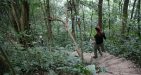 Cuc-Phuong-National-Park-13
