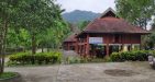 Cuc-Phuong-National-Park-16