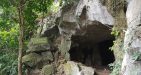 Cuc-Phuong-National-Park-17