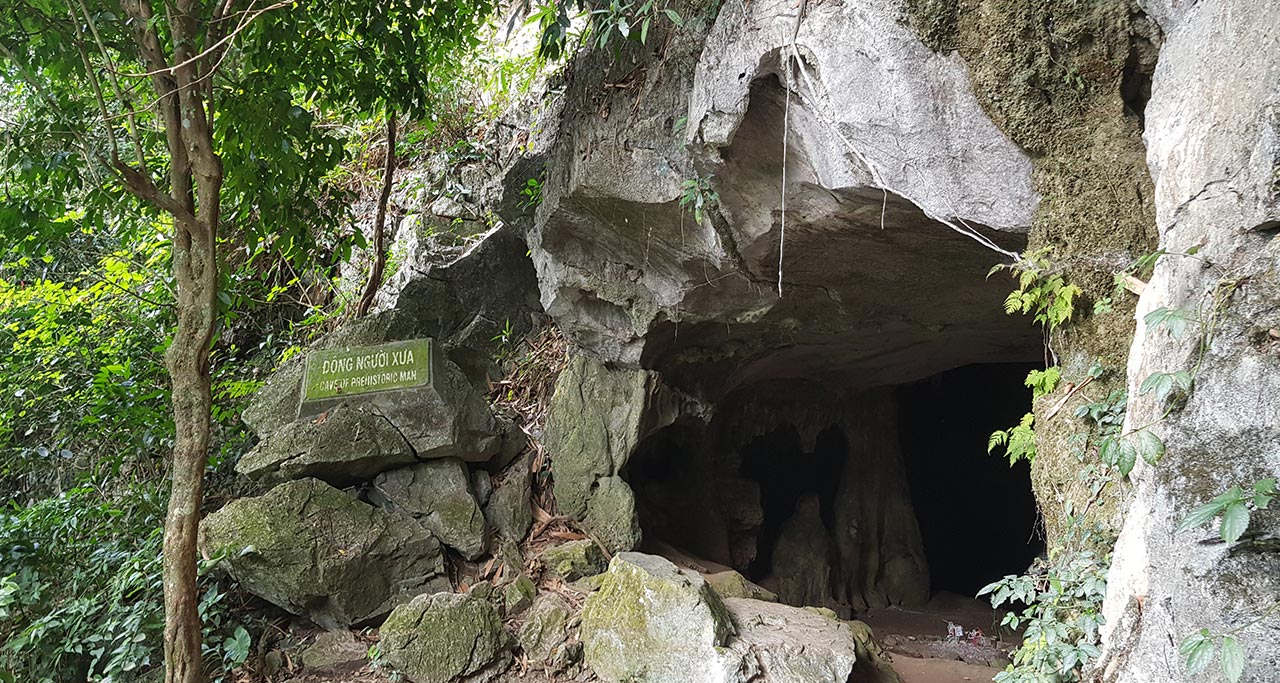Cuc-Phuong-National-Park-17