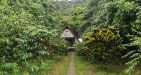 Cuc-Phuong-National-Park-3