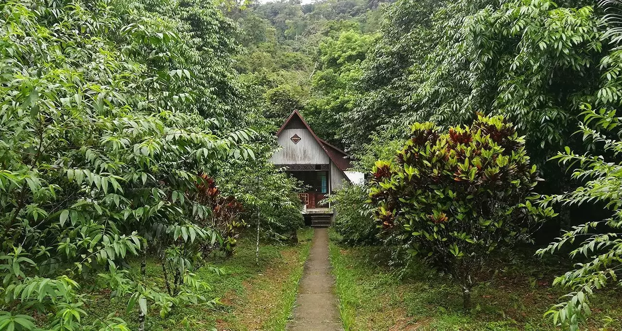 Cuc-Phuong-National-Park-3