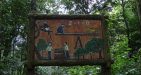 Cuc-Phuong-National-Park-6