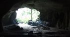 Cuc-Phuong-National-Park-7