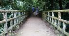 Cuc-Phuong-National-Park-9
