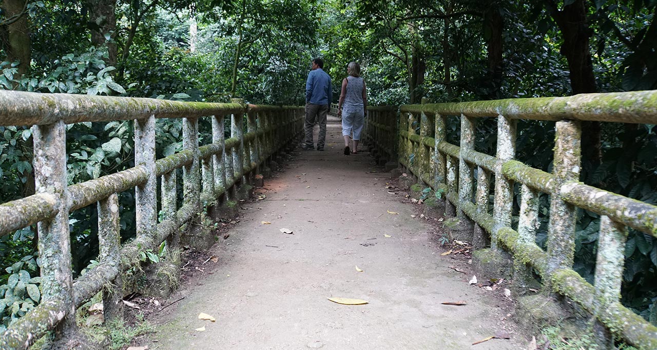 Cuc-Phuong-National-Park-9