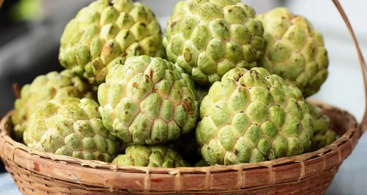 Custard Apple