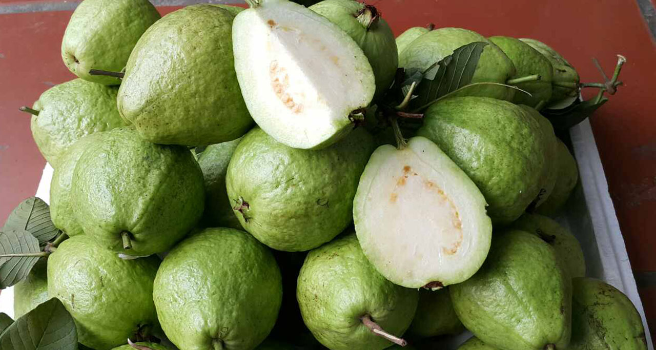 The Most Delicious Tropical Fruits of Vietnam