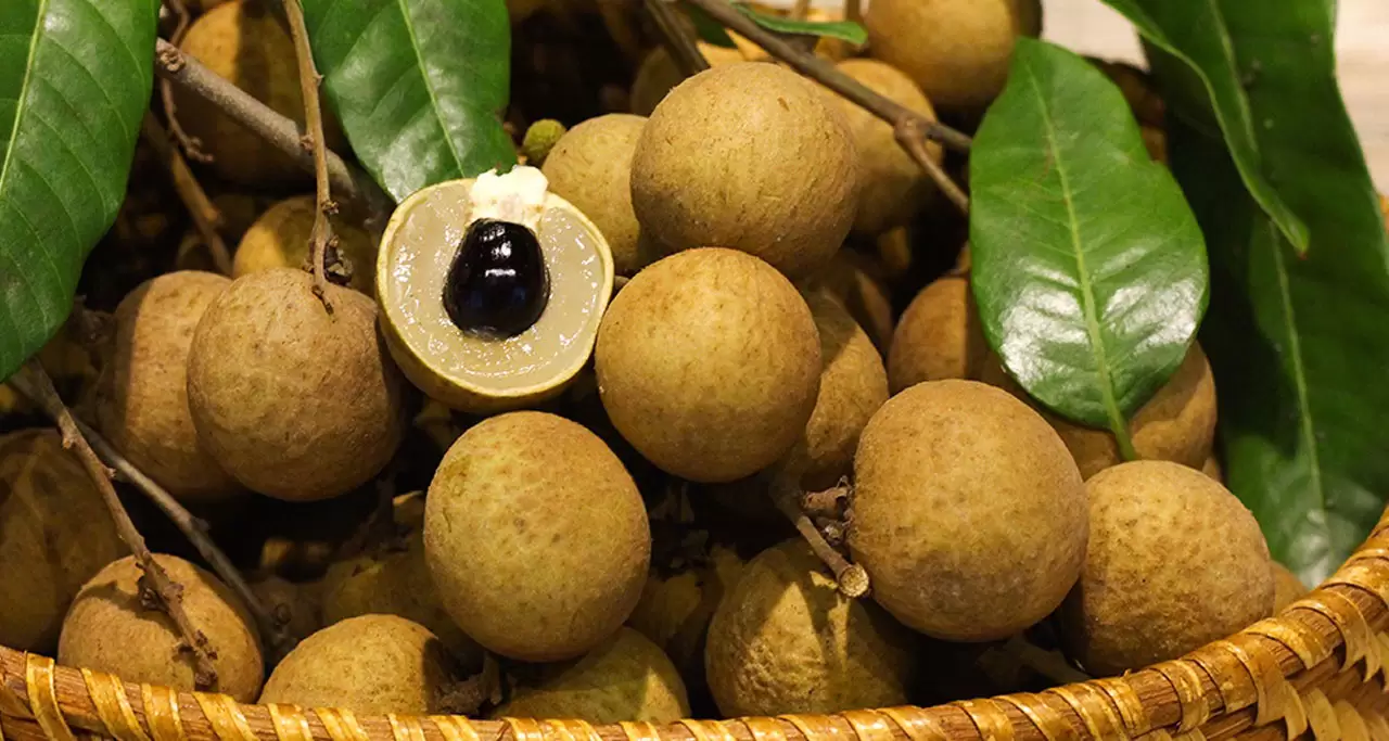 Longan