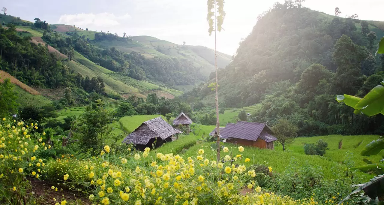 Sapa in Green Season