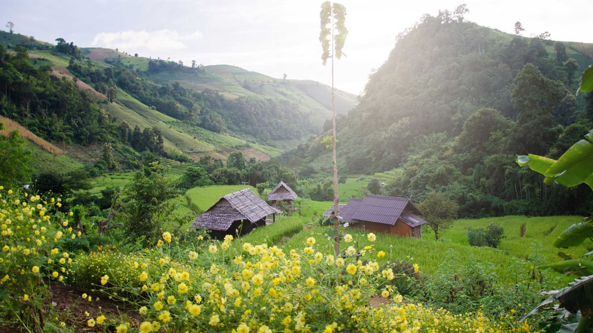 Day 2: Sapa Trekking – Homestay in Ta Van.