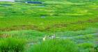 Nam-cat-tien-national-park2