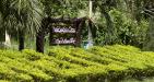 Nam-cat-tien-national-park5