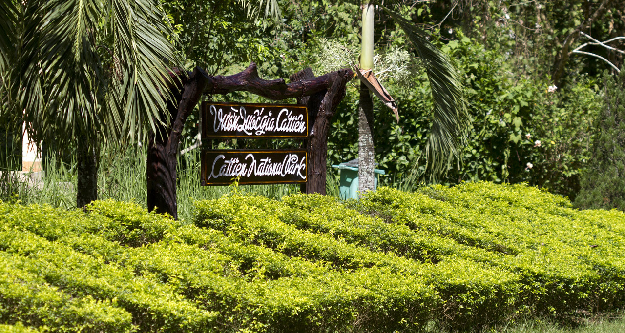 Nam-cat-tien-national-park5