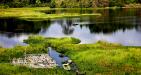 Nam-cat-tien-national-park7