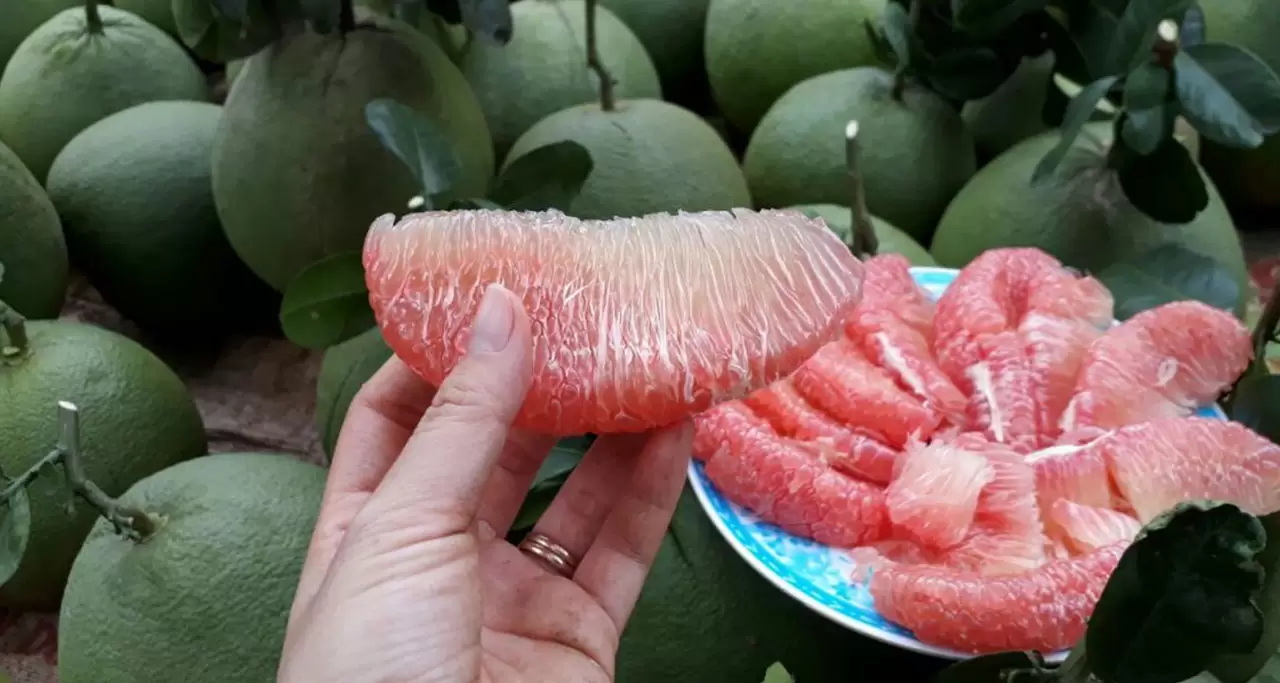 Pomelo