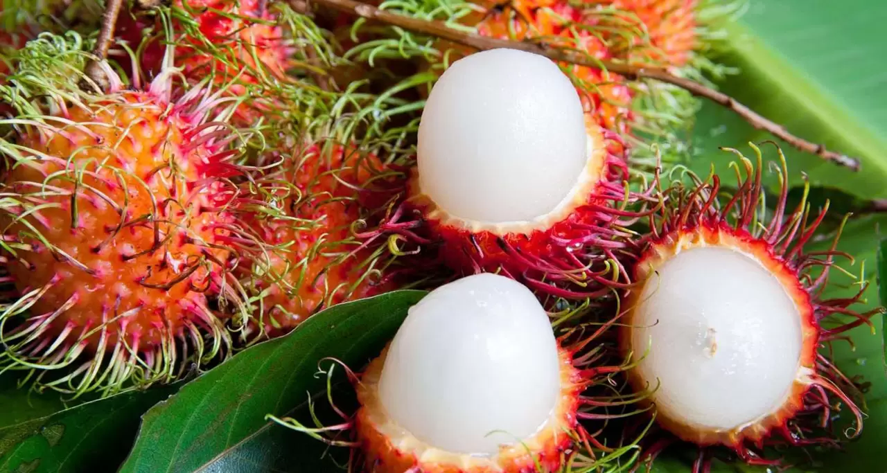 The Most Delicious Tropical Fruits Of Vietnam With Photos 