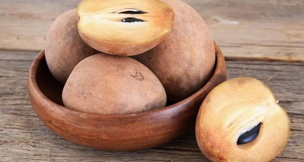 Sapodilla