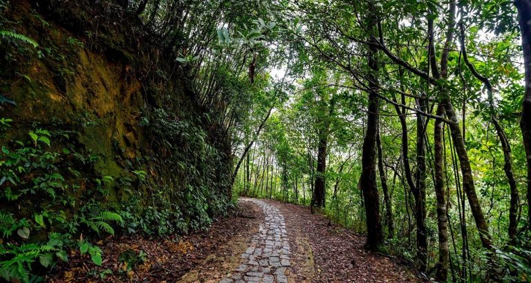 Bach Ma National Park: How to get there & What to do | Vietnam Travel