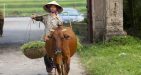duong-lam-village-3