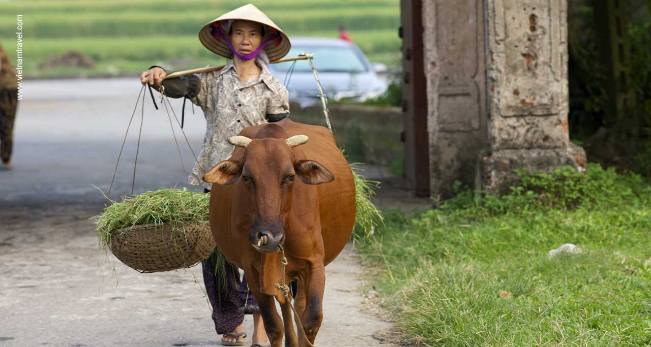 duong-lam-village-3