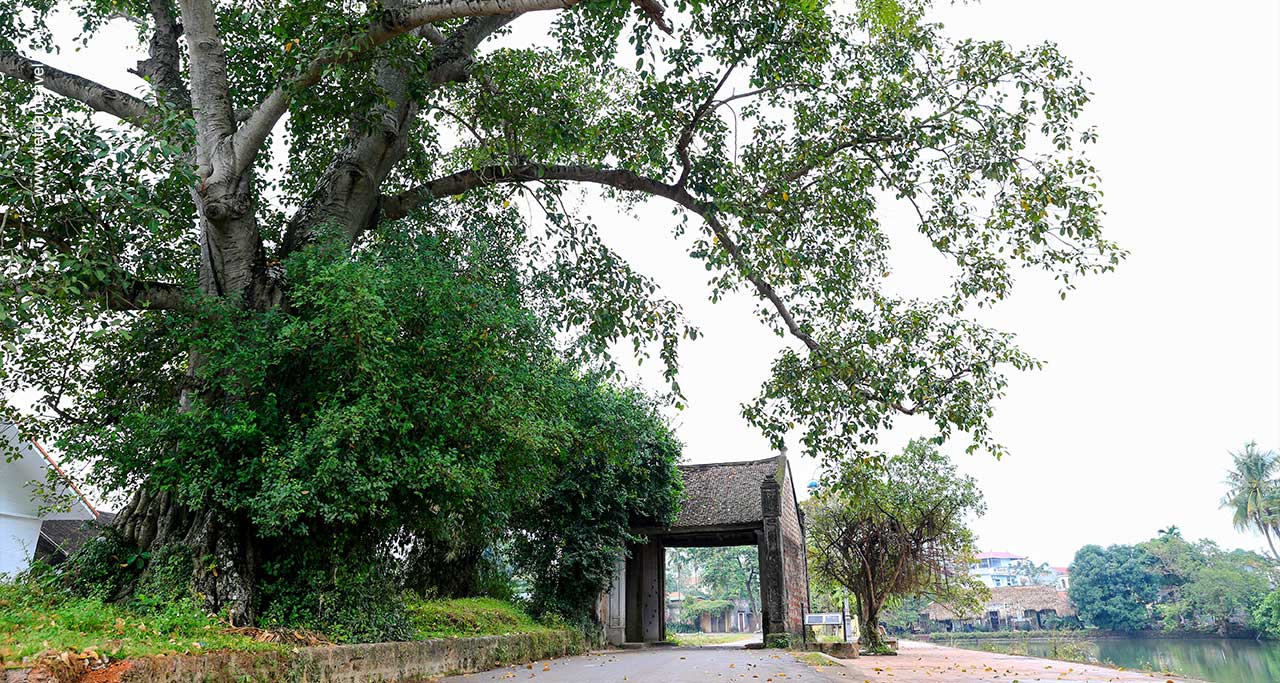 duong-lam-village-8