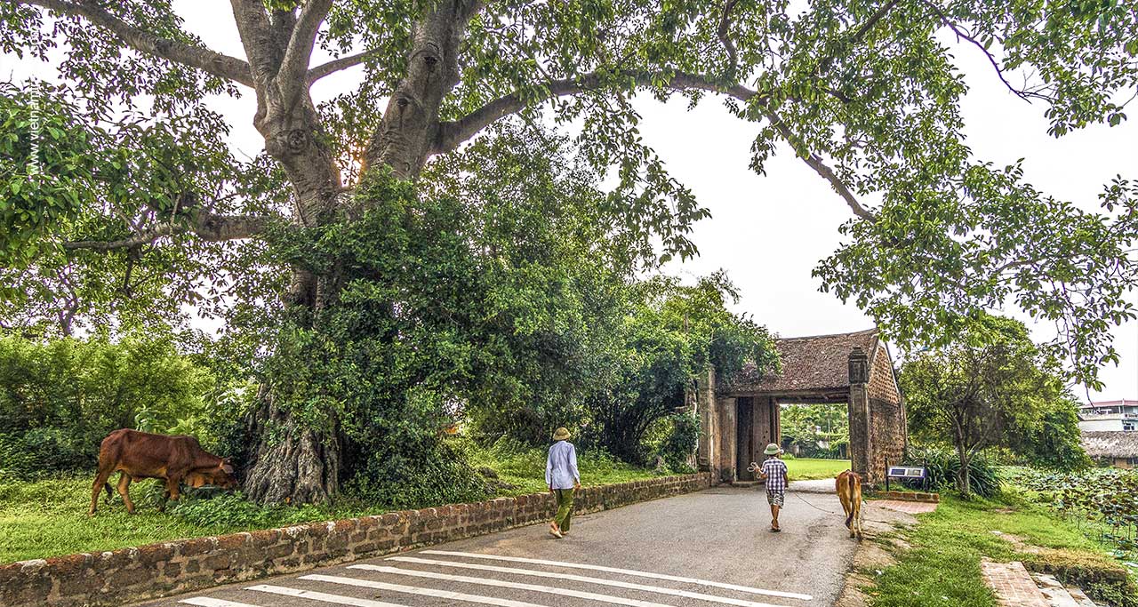duong-lam-village-9