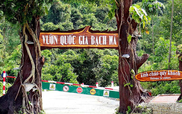 Bach Ma National Park: How to get there and What to do?