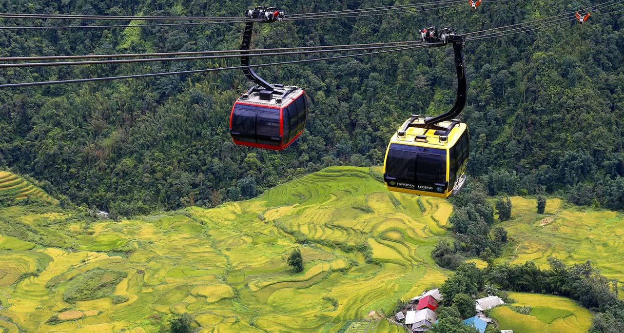 cable car running through a rice paddy