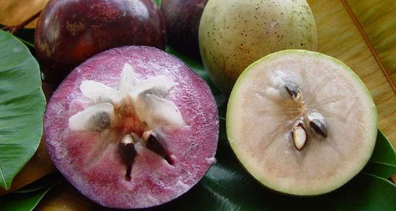 Star Apple