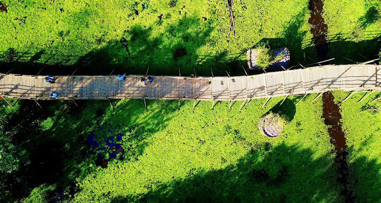 The bridge from above