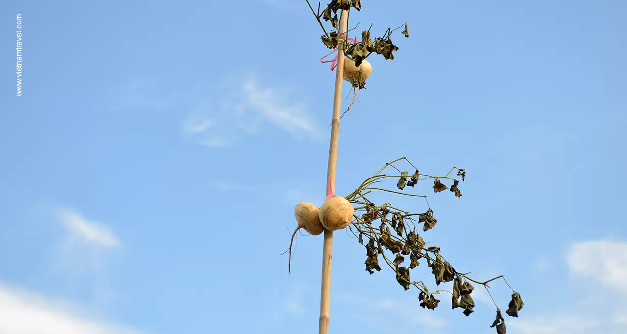 Cay Beo - a pole hanging kinds of fruits or goods that local people sell in Cai Rang Floating Market