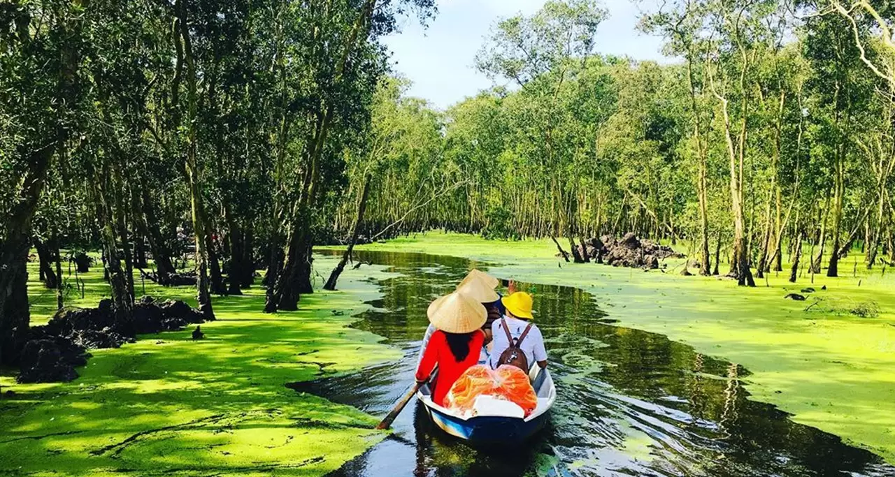 A boat ride in the Tra Su cajuput forest in An Giang province