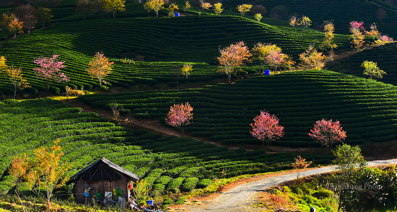 Sapa weather – Best time to visit