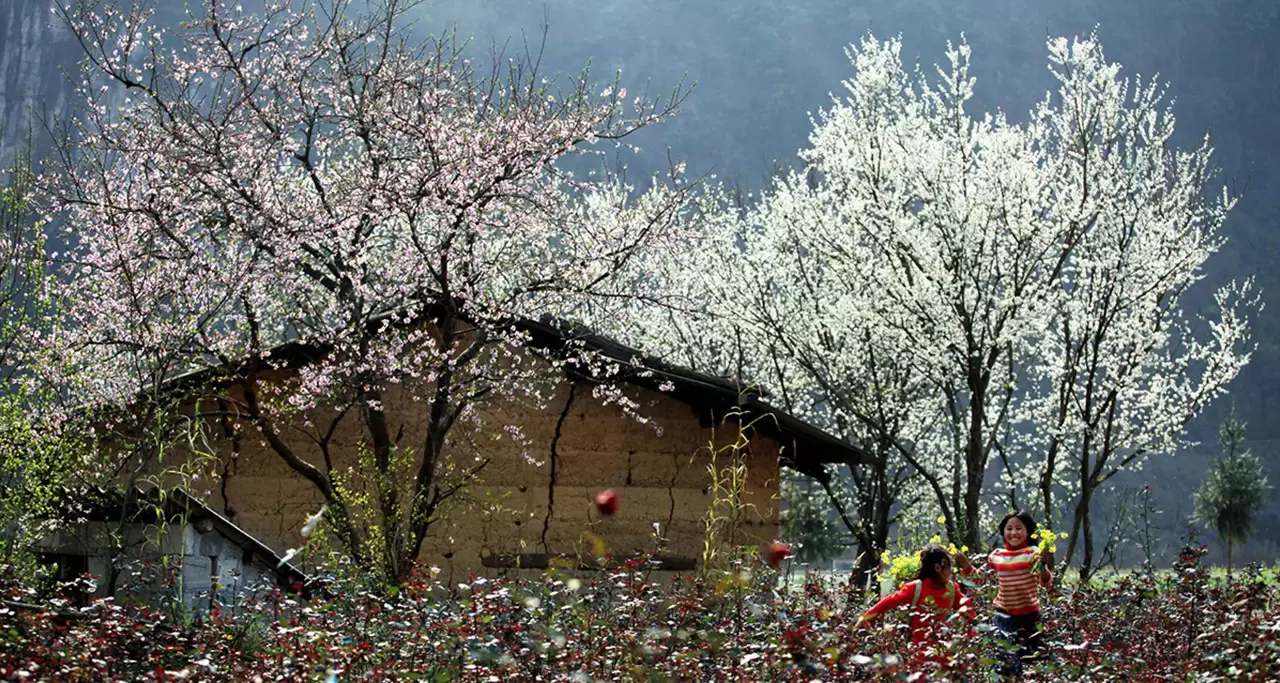 peaceful scene in Sapa