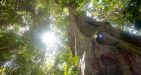ta-cu-mountain-ham-thuan-nam-phan-thiet-1