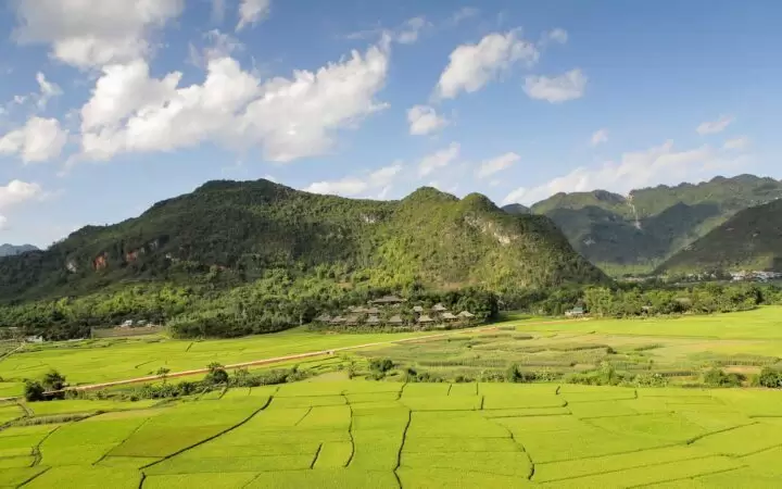 Green Rice FIeld in Mai Chau