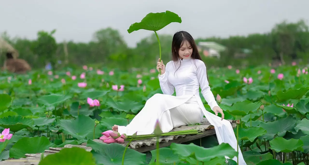 Season of lotus flower at West lake- Hanoi