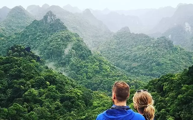 Cat Ba national park thumbnail