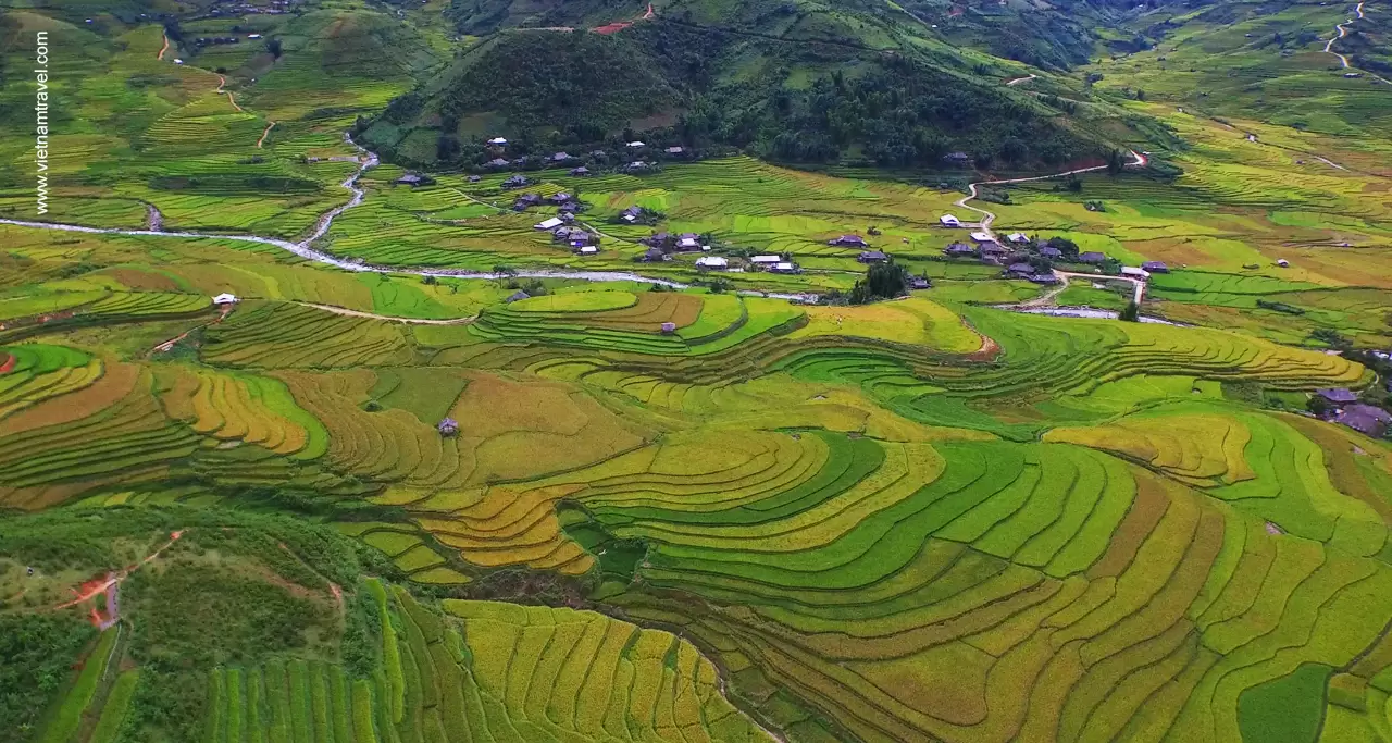 Rice field in De Xu Phinh Villages