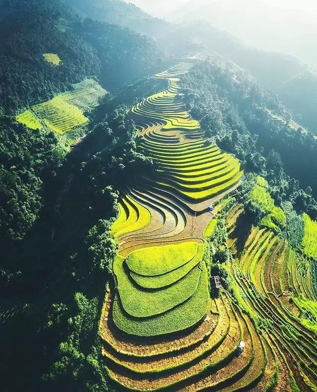 Terraced rice fields in Mu Cang Chai - Yen Bai