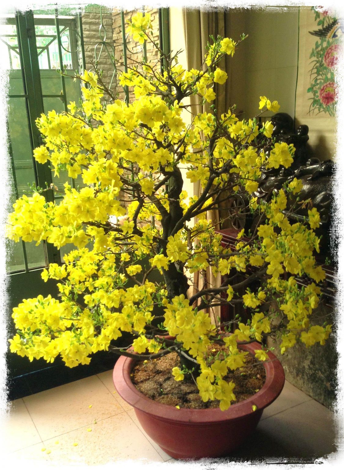 Flowers in Vietnam 8 Things You want to Know Vietnam Travel