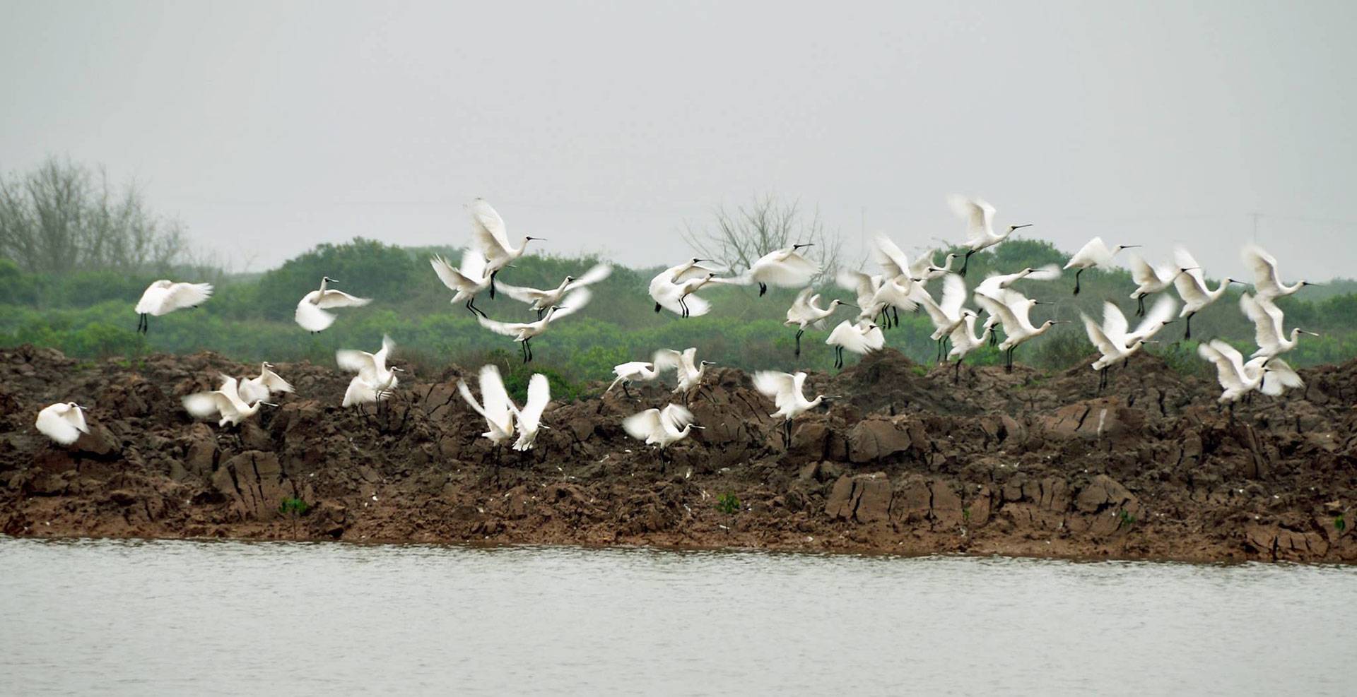 Xuan Thuy National Park